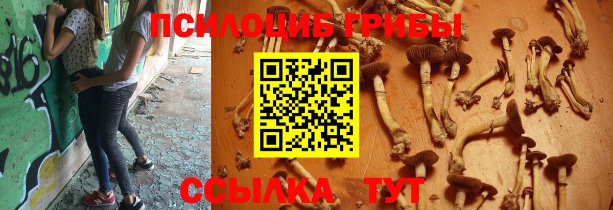 Печора  Галлюциногенные грибы GOLDEN TEACHER  Вход с VPN 