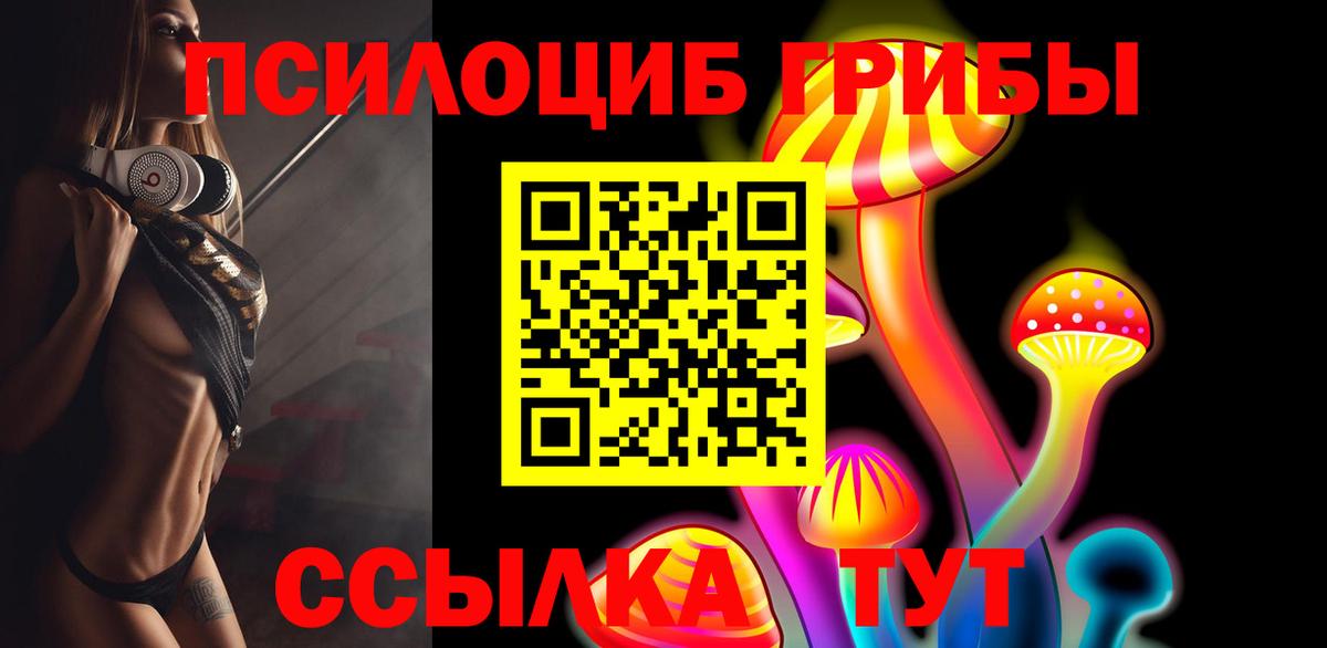 Псилоцибиновые грибы мицелий Печора